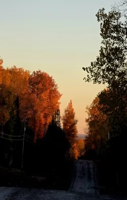 Golden hour in the fall